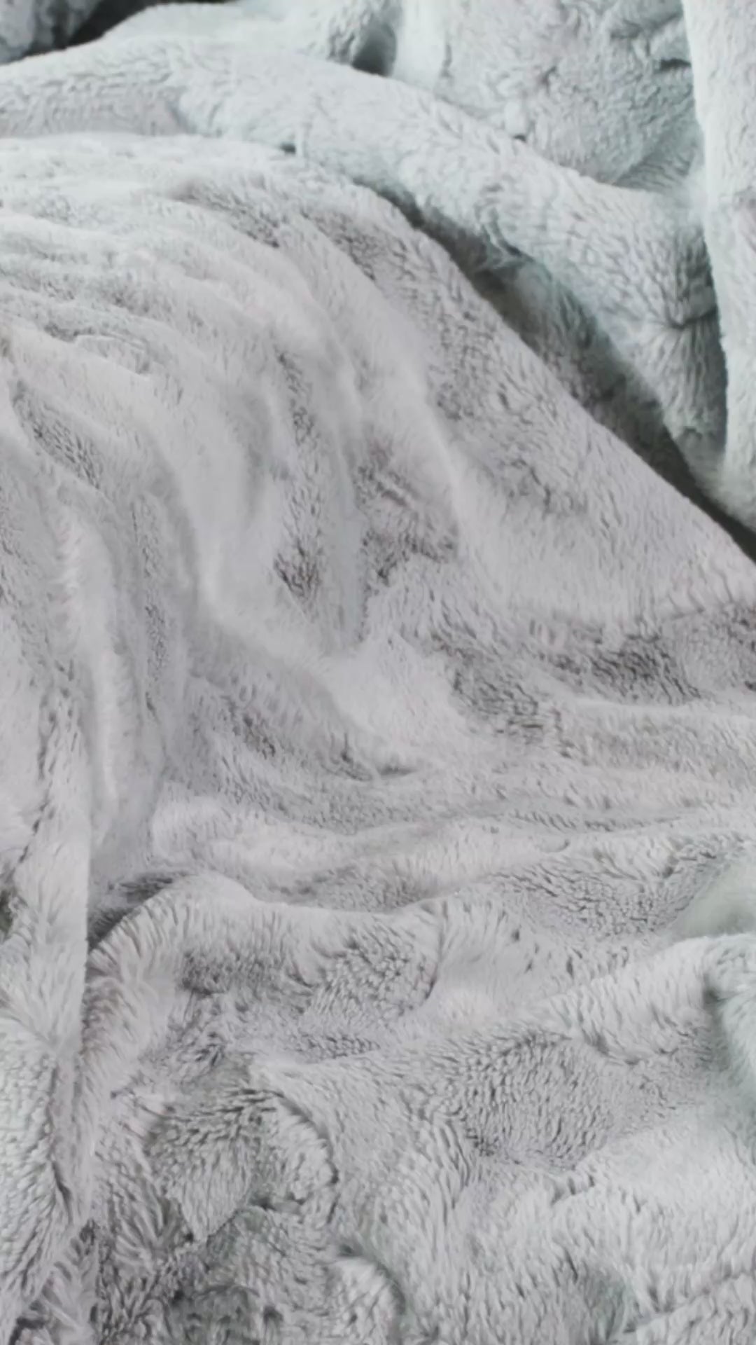 Silver Blanket Colors